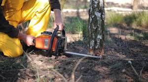Lawn Irrigation Installation and Maintenance in White Bluff, TN