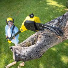 Pest Control for Lawns in White Bluff, TN